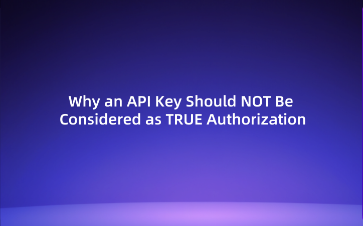 Why an API Key Should NOT Be Considered as TRUE Authorization